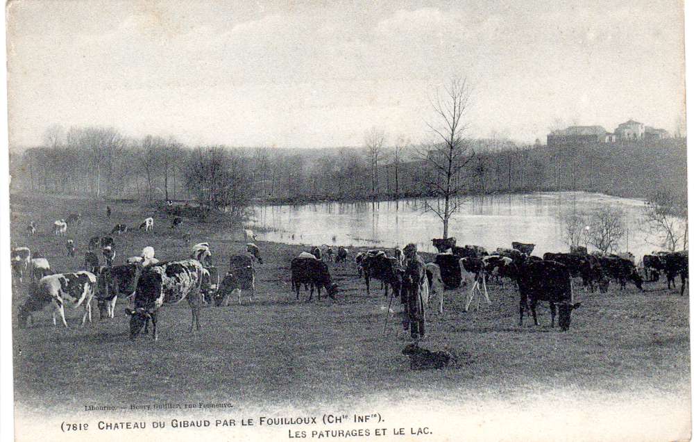 CP_Gibaud_105-1000.jpg