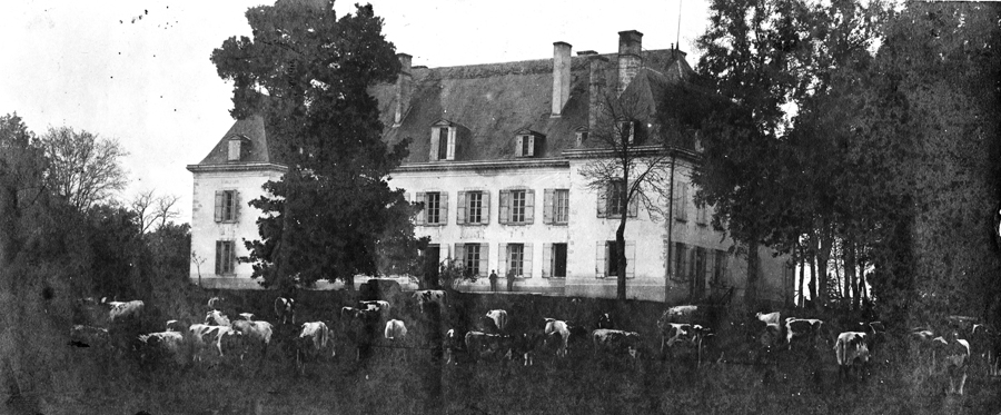 Chateau_Gibeaud.jpg
