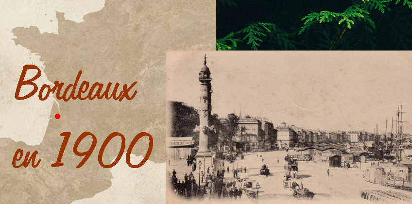 bordeaux