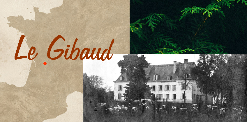 gibaud