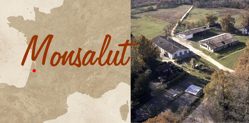monsalut